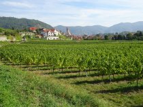 8 Day World Heritage Trail Wachau