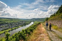 6 Day Moselle & Eifel Trail